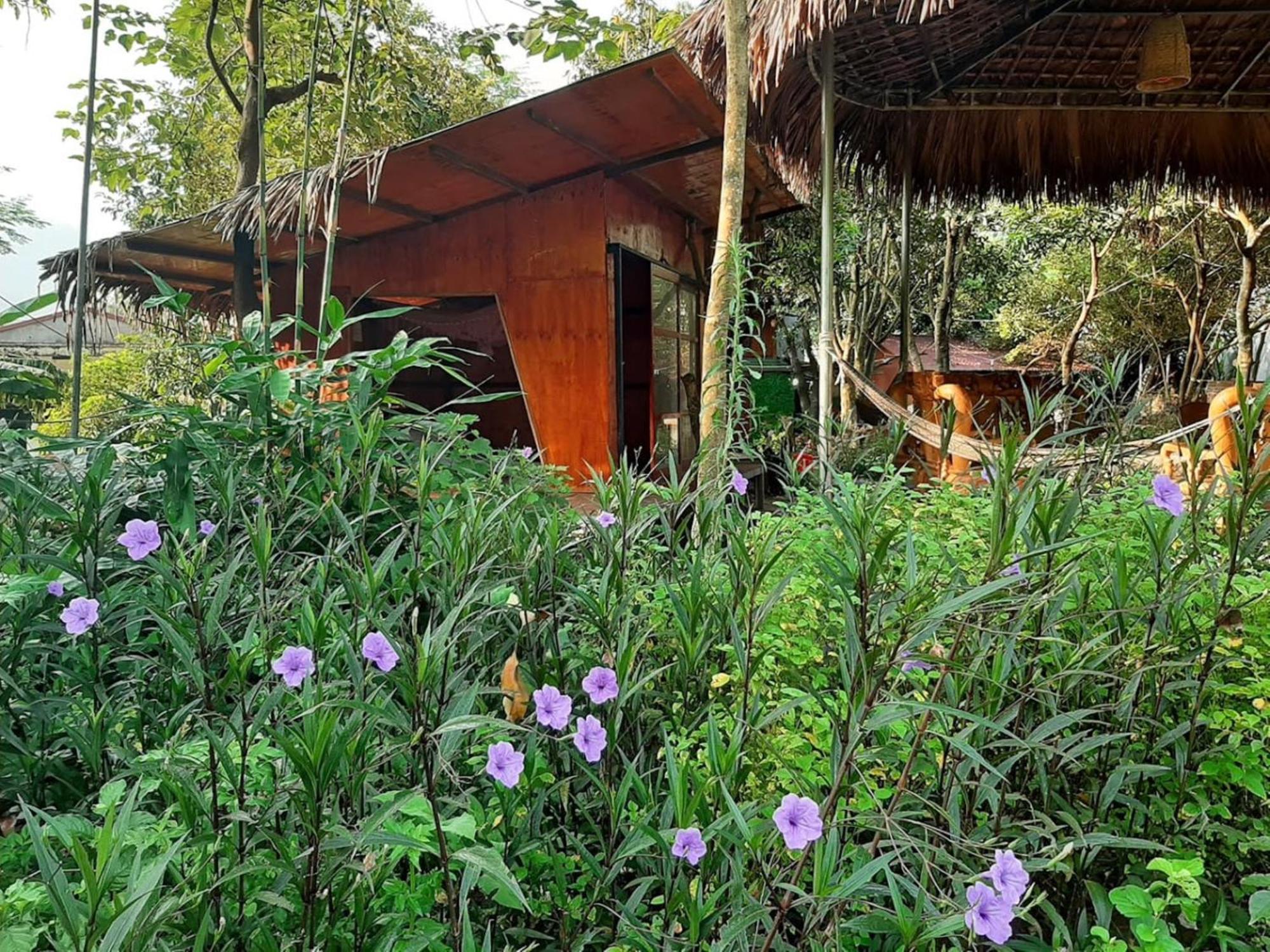 Muong Tra Garden Homestay Làng Cac المظهر الخارجي الصورة