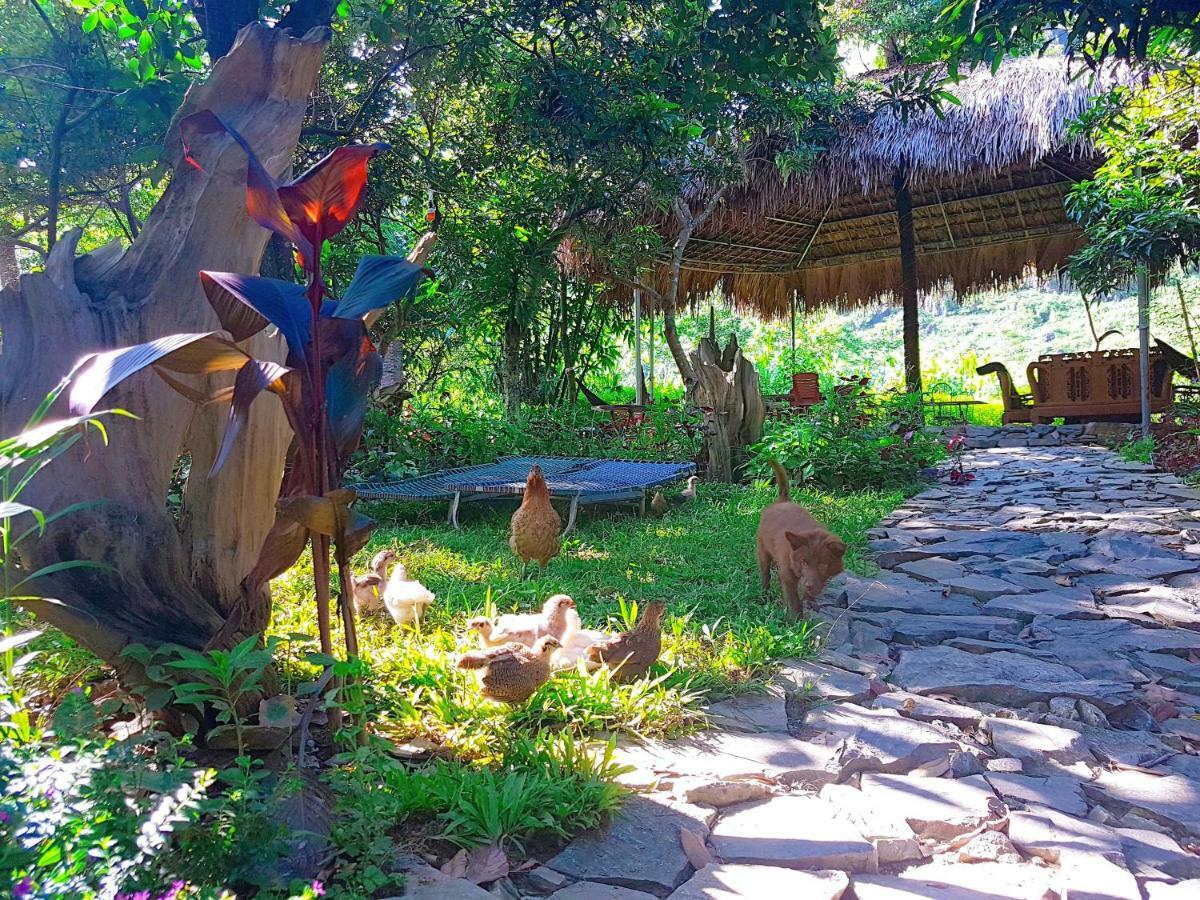 Muong Tra Garden Homestay Làng Cac المظهر الخارجي الصورة